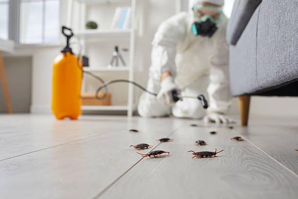 Commercial Kitchen Cockroach Control in Murfreesboro